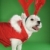 fehér · terrier · kutya · visel · agancs · piros - stock fotó © iofoto