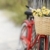 moto · flores · rojo · vintage · bicicleta · cesta - foto stock © iofoto