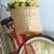 自転車 · 花 · 赤 · ヴィンテージ · 自転車 · バスケット - ストックフォト © iofoto