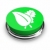 Green Leaf - Button stock photo © iqoncept