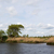 paisagem · holandês · água · holandês · Holanda · ninguém - foto stock © ivonnewierink