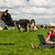 młodych · rolnik · laptop · dziedzinie · krów · pracy - zdjęcia stock © ivonnewierink