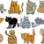 desenho · animado · gatos · conjunto · ilustração · engraçado · doze - foto stock © izakowski