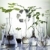 ecologie · laborator · experiment · plante · natură · medicină - imagine de stoc © JanPietruszka