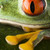 Frog in the jungle on colorful background stock photo © JanPietruszka