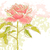 粉紅色的玫瑰 · 白 · 畫 · 葉 · 水彩畫 - 商業照片 © jet