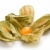 fruto · branco · comida · folha · laranja · cor - foto stock © jirkaejc