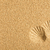 shells imprinted on the sand stock photo © jirkaejc