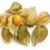 fruto · branco · comida · folha · laranja · cor - foto stock © jirkaejc