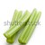 grünen · Sellerie · weiß · Foto · erschossen · Essen - stock foto © jirkaejc