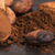 cacao beans and cacao powder in spoon stock photo © joannawnuk
