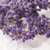 lavender flower stock photo © joannawnuk