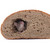 mouse and the bread stock photo © jonnysek