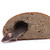 mouse and the bread stock photo © jonnysek