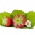 deux · fraise · fruits · feuilles · vertes · fleurs · isolé - photo stock © karandaev