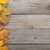 красочный · осень · клен · листьев · деревянный · стол · природы - Сток-фото © karandaev