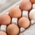 the hen's eggs in pack stock photo © karandaev