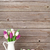 húsvéti · tojások · színes · tulipánok · virágcsokor · fából · készült · fal - stock fotó © karandaev