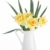 花束 · 黃色 · 水仙 · 孤立 · 白 - 商業照片 © karandaev