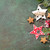 聖誕節 · 賀卡 · 雪 · 裝飾 - 商業照片 © karandaev