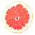 makró · étel · gyűjtemény · grapefruit · szelet · izolált - stock fotó © karandaev