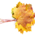 красочный · осень · клен · листьев · изолированный · белый - Сток-фото © karandaev