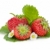 trois · fraise · fruits · feuilles · vertes · fleurs · isolé - photo stock © karandaev