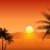 tropischen · Sonnenuntergang · Szene · Palmen · Baum · Meer - stock foto © kjpargeter