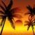 tropischen · Sonnenuntergang · Palmen · Baum · Meer · Hintergrund - stock foto © kjpargeter
