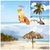 異國情調 · 加勒比的 · 海灘 · 拼貼 · 美麗 - 商業照片 © Kurhan