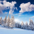 kış · fantastik · manzara · dramatik · gökyüzü · Ukrayna - stok fotoğraf © Leonidtit