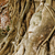 Buddha head in old tree stock photo © leungchopan