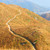 montana · camino · hierba · paisaje · campo · verde - foto stock © leungchopan
