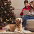 dog and couple using laptop stock photo © LightFieldStudios