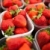 rynku · świeże · truskawek · żywności · owoców - zdjęcia stock © lightpoet