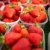 agricultorii · piaţă · proaspăt · căpşune · alimente · fruct - imagine de stoc © lightpoet
