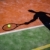 shadow of a tennis player in action on a tennis court stock photo © lightpoet