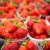 agricultores · mercado · fresco · morangos · comida · fruto - foto stock © lightpoet