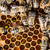macro · shot · albine · fagure · de · miere · grădină · cadru - imagine de stoc © lightpoet