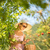 jeune · femme · up · échelle · pommes · pommier - photo stock © lightpoet