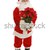Santa With Poinsettias Full Body stock photo © lisafx