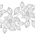 Vektor · monochrome · floral · Muster · Hand · gezeichnet - stock foto © lissantee