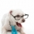 inteligentes · perro · sorprendido · inteligente · empate - foto stock © lovleah