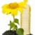 sunflower oil stock photo © luiscar