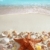 Strandsand · Seestern · Karibik · tropischen · Meer · Sommerurlaub - stock foto © lunamarina