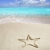 caribbean · praia · starfish · imprimir · areia · branca · verão - foto stock © lunamarina