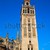 catedrală · turn · Spania · constructii · oraş · arhitectură - imagine de stoc © lunamarina
