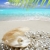 caribbean · pérola · concha · areia · branca · praia · tropical - foto stock © lunamarina
