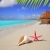 praia · starfish · concha · areia · branca · tropical · cabana - foto stock © lunamarina