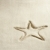 beach starfish print  white caribbean sand summer stock photo © lunamarina